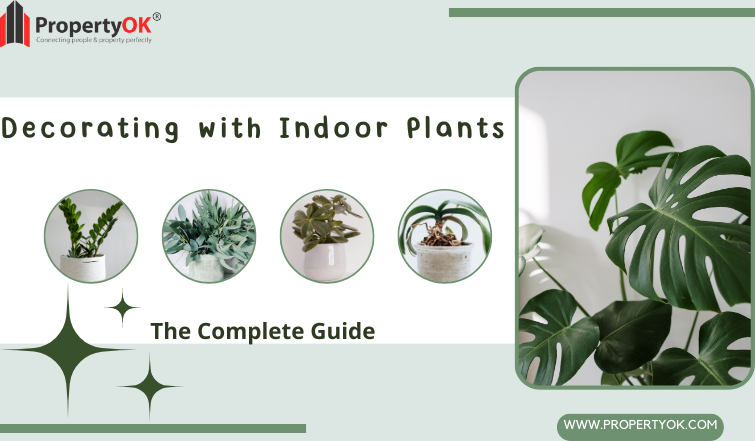 Decorating with indoor plants