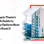 Investing in Thane