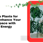 vastu plants for home